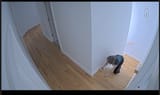 1720151013741087