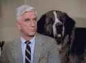 Drebin And Bernard_thumb.jpg