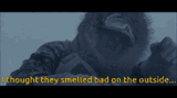 han-solo-i-thought-they-smelled-bad-on-the-outside