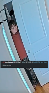 1750114252882454