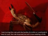 crab-of-war