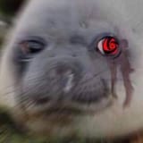 1588843849519
