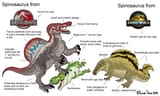 Chad Virgin Spino