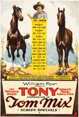 Tony the Wonder Horse