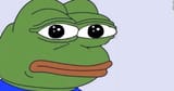 frog13