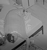 passedout