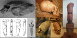 Elongated skulls