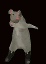 ratdance