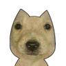 896150768262987860