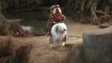 although-sir-didymus-is-voiced-by-david-shaughnessy-he-is-controlled-by-gonzos-puppeteer-1685479188