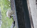 IMG_2549
