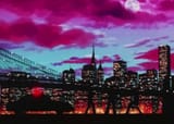 Yorkshin3