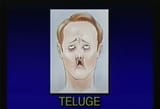 Teluge