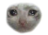 crying-cat