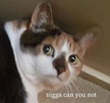 1652517382910