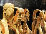 A visceral experience “Body Worlds &amp; the Brain” at OMSI, Portlan