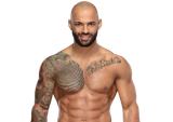 Ricochet_Pro--6945ce77823f2d00e33e54eeb3921648
