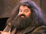 Rubeus_Hagrid_Movie