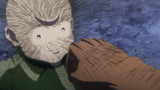 HxH porc