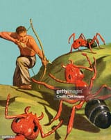 man-shooting-giant-ants-with-bow-and-arrow[1]