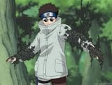 shino