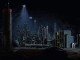 a Janus_VI_colony