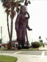 inflatable terl 1984