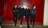 the vaccines
