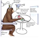 Angie airtight experiment