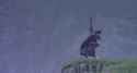 We are brothers - Highlander_thumb.jpg