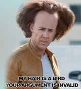 hair is a bird