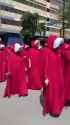 Dozens of handmaidens march at ‘No Kings’ protest in Fort Worth_thumb.jpg