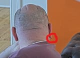 Nice Studs