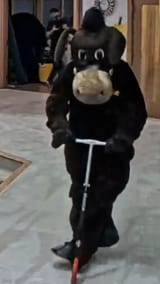 1732245592800141
