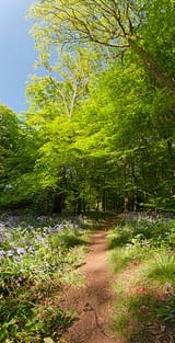 istockphoto-157609391-612x612