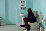 toilet-poop