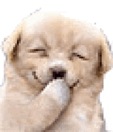 dog-laughing-dog