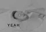 1682154263270288
