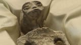 skynews-non-human-being-alien_6283069
