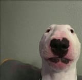 1554069813341