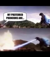 Pronouns