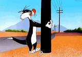 fml-sylvester