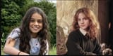 Hermione comparison