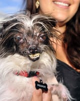 peanut-2-450965464