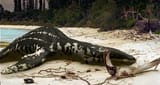 liopleurodon_stranded_on_an_island_beach_by_willdynamo55-dbiojm3