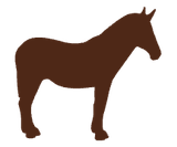 mule