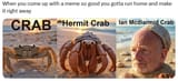 crabs