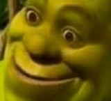 bemused-shrek