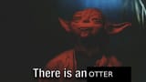 yoda