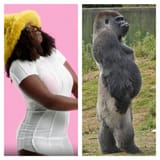 2 Gorillas